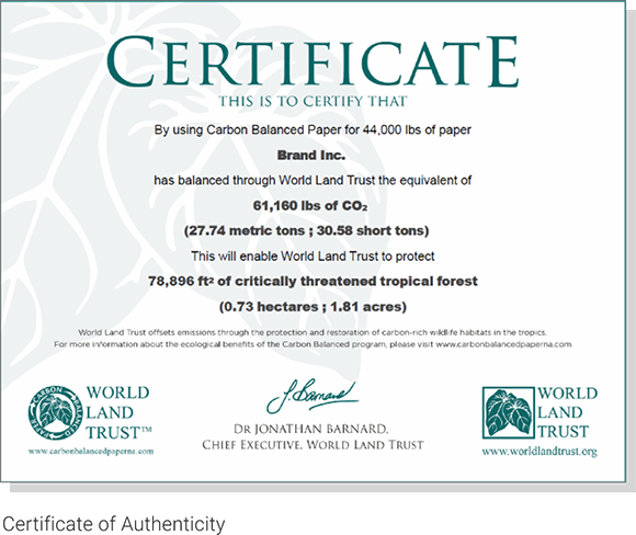 Carbon Balanced Paper Certificate