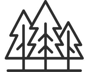 Black/white Stylized Illustration Graphic Of Pine Trees