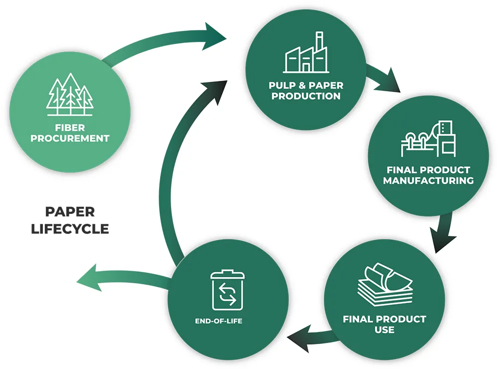 Paper Lifecycle Graphic